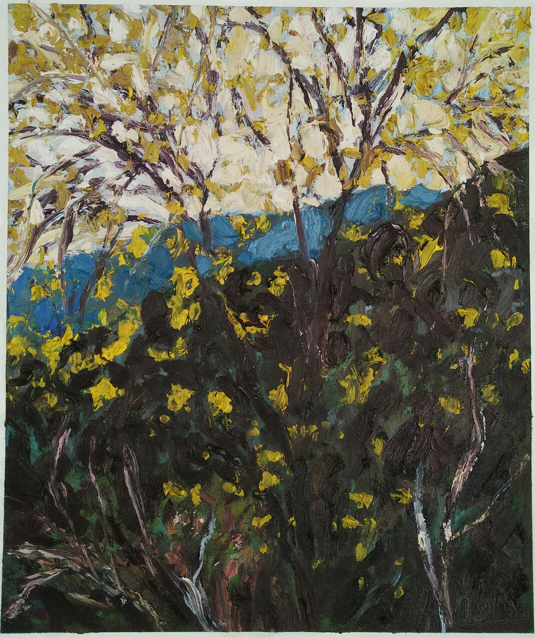 "Arbres jaunes montagne bleue"/ Oil on canvas/ 63 cm X 52 cm