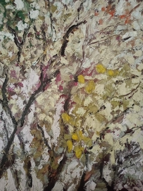 Bauhinias en fleurs. Oil on canvas. 60 x 80 cm