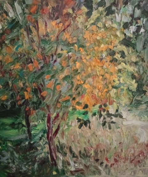 Arbuste doré. Oil on canvas. 48 x 55 cm