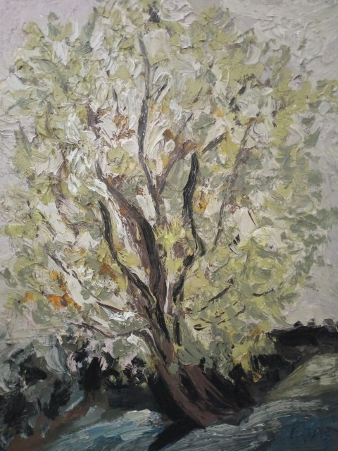 Grand arbre en bourgeons. Oil on canvas. 60 x 80 cm